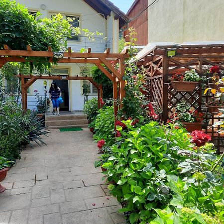 Pension Eden Baile Herculane Exterior photo